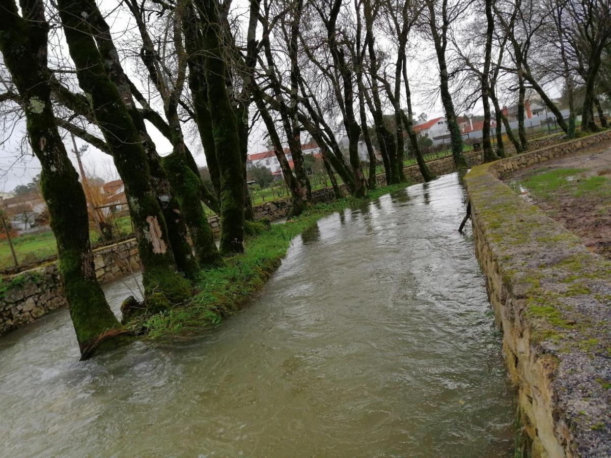 فيلا Casa Da Ponte Branca أنسياو المظهر الخارجي الصورة