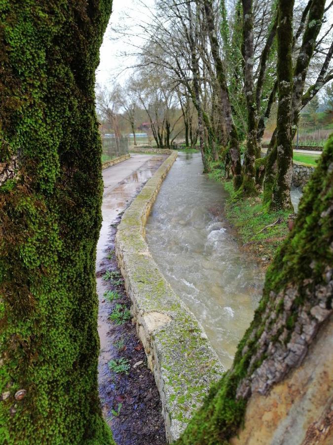 فيلا Casa Da Ponte Branca أنسياو المظهر الخارجي الصورة